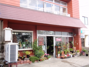 「ひまわり生花店」　（島根県浜田市）の花屋店舗写真1